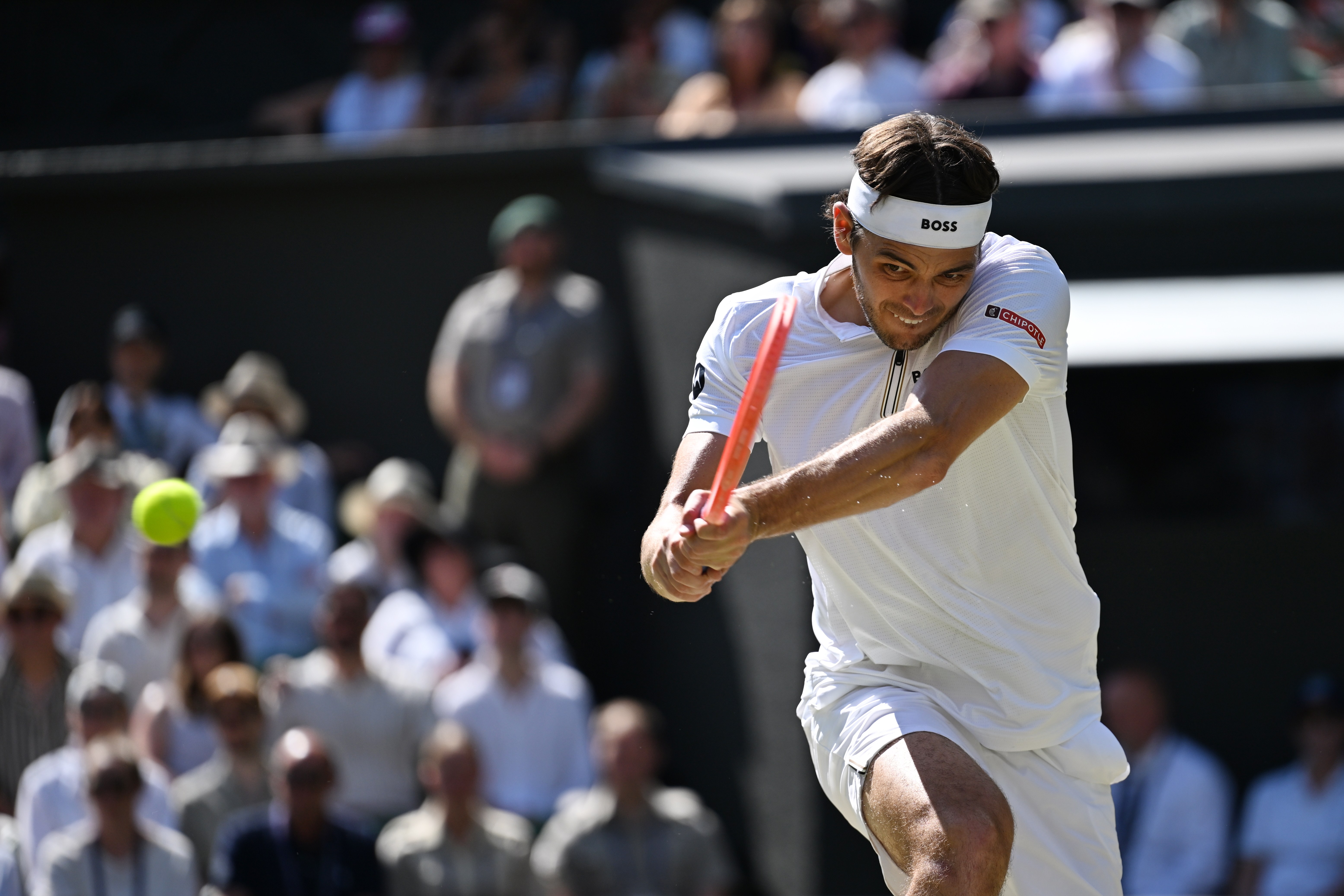 关于德国网球队完胜西班牙网球队，阿尔卡拉斯统治全场的信息