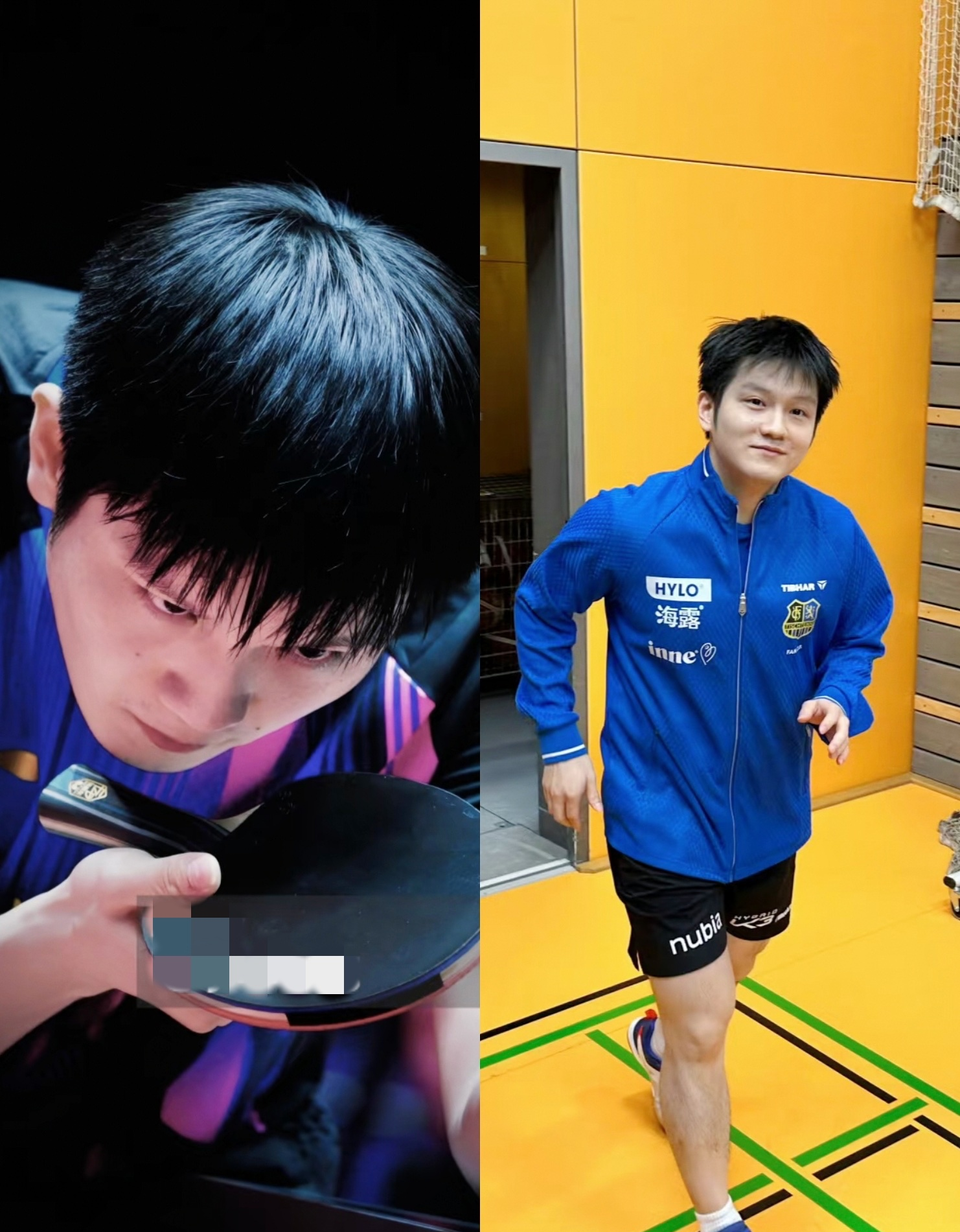 瑞典队完胜德国队，樊振东扛起全队的简单介绍