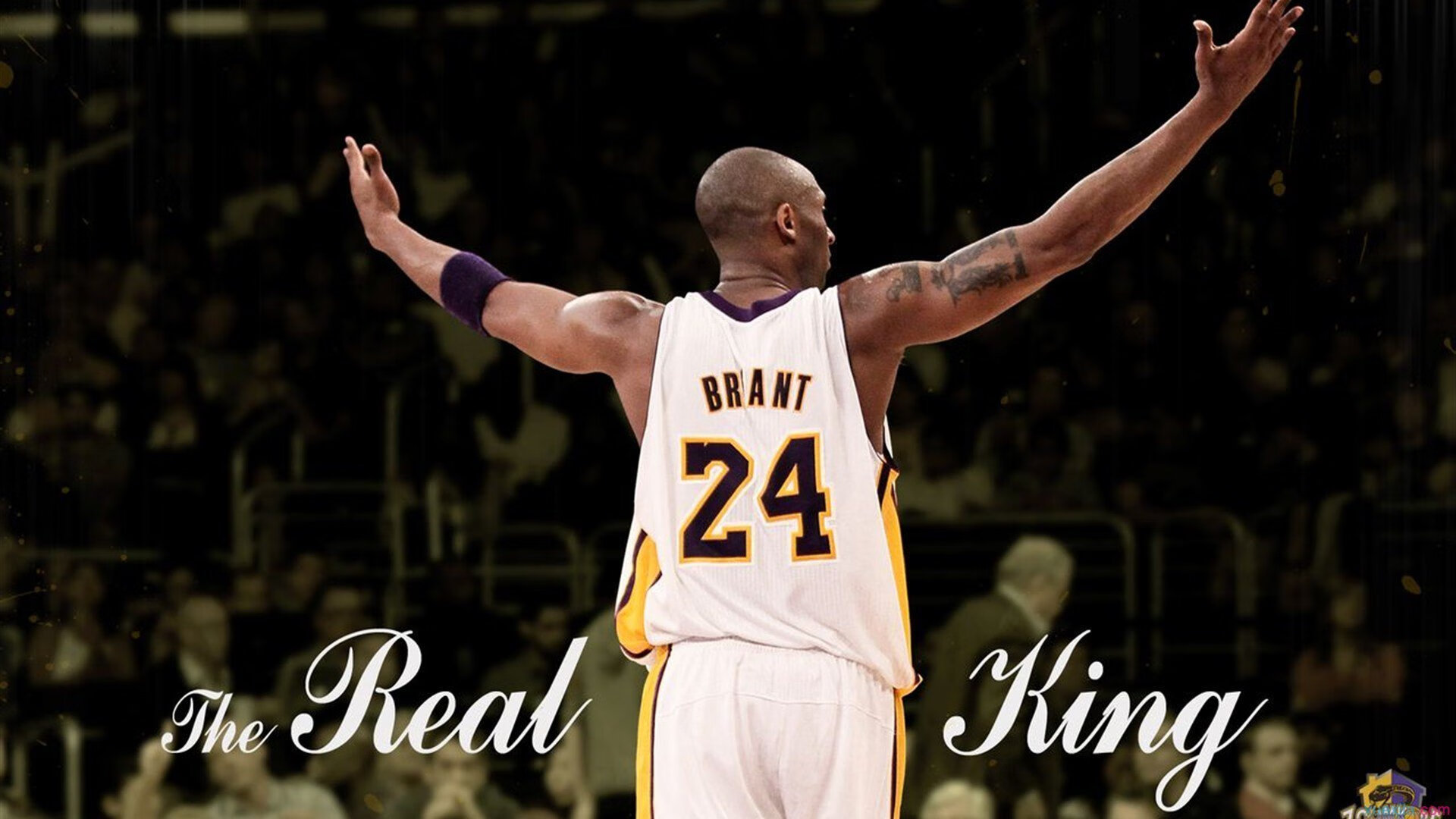 文班亚马攻防两端统治，黄蜂力克开拓者