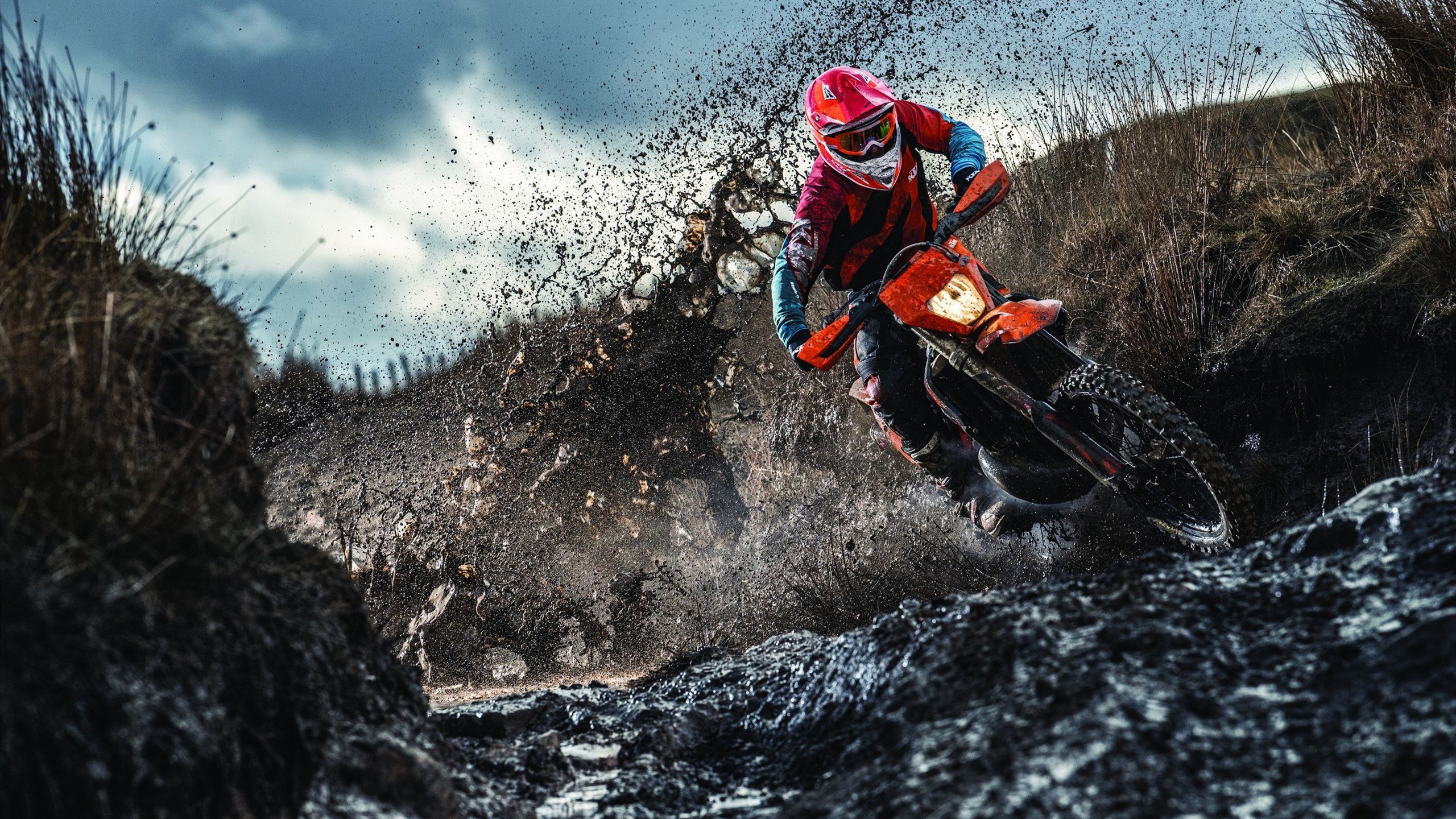 跨越大洋的绝杀，当尼克斯的锋芒穿透上海队的铁壁